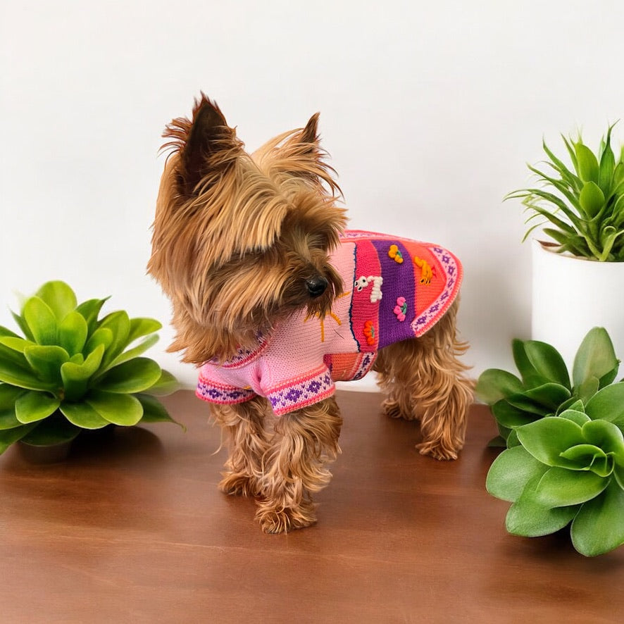 BABY PINK Handmade Peruvian Dog Sweater (ALL SIZES)