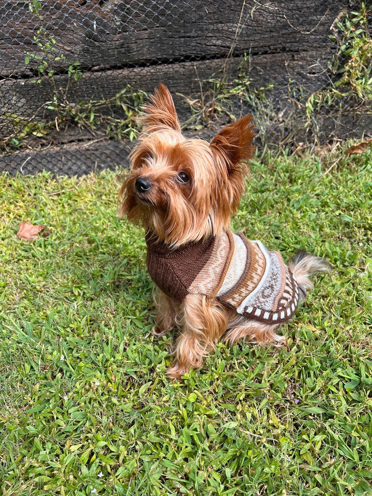 CAFE BROWN NAZCA Alpaca sweater for dogs 1.5 lbs - 40 lbs. (Copy)