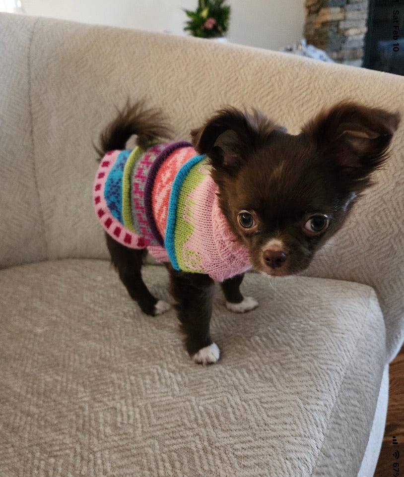 NAZCA Alpaca dog sweater, BABY PINK (Size XX0-8)