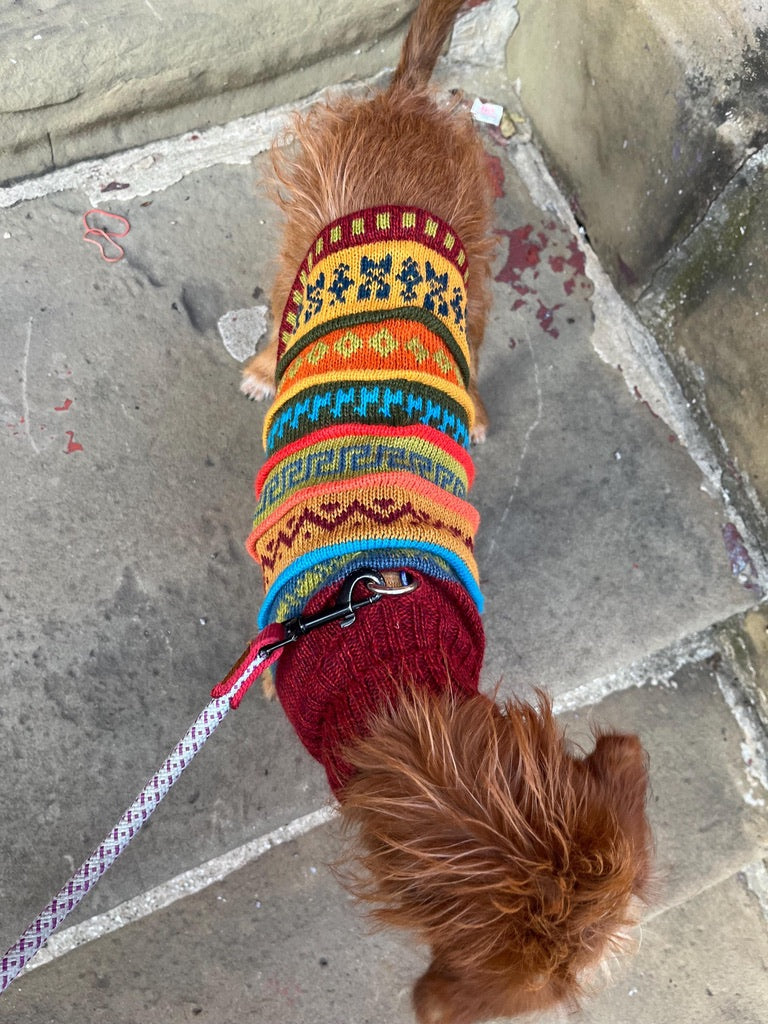 Inca Red Nazca Alpaca dog sweater (Size XX0-8)