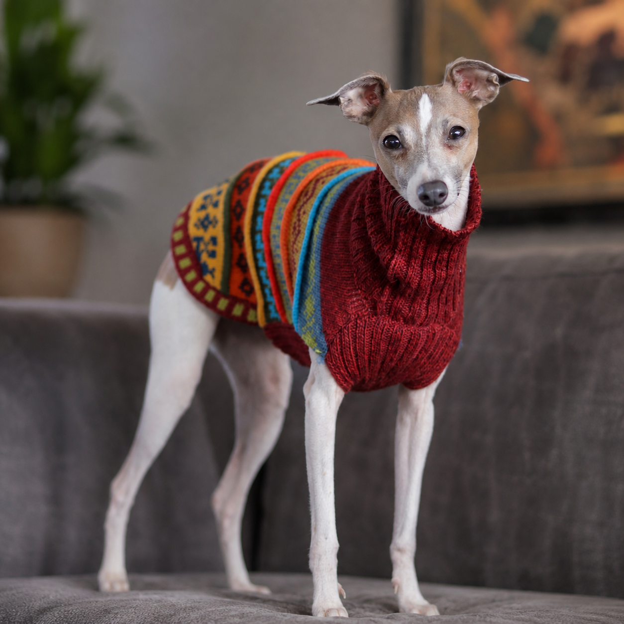 Inca Red Nazca Alpaca dog sweater (Size XX0-8)
