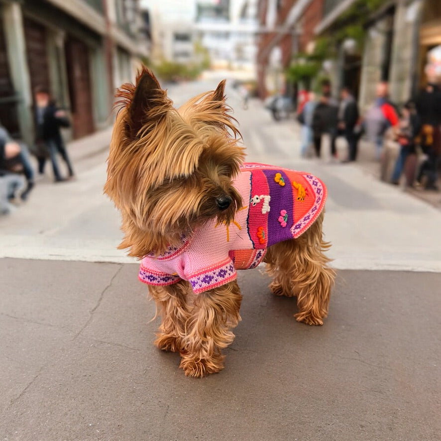 BABY PINK Handmade Peruvian Dog Sweater (ALL SIZES)