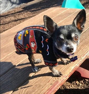 HARLEY COLOR Handmade Peruvian Dog Sweater All Sizes (X0-14)