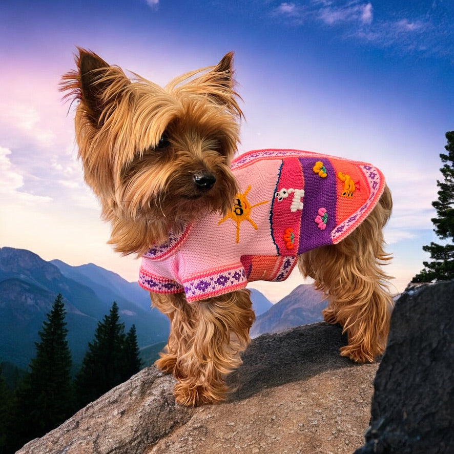 BABY PINK Handmade Peruvian Dog Sweater (ALL SIZES)