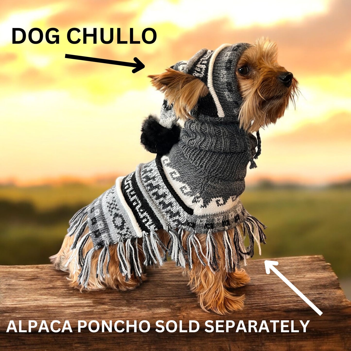 MACHU MIST Dog Chullo Beanie