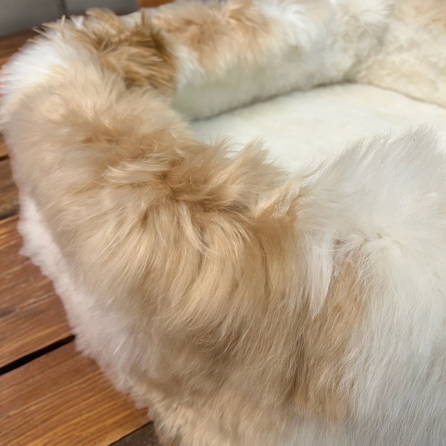 Luxury Dog Bed (WHITE FRONT WITH BEIGE)