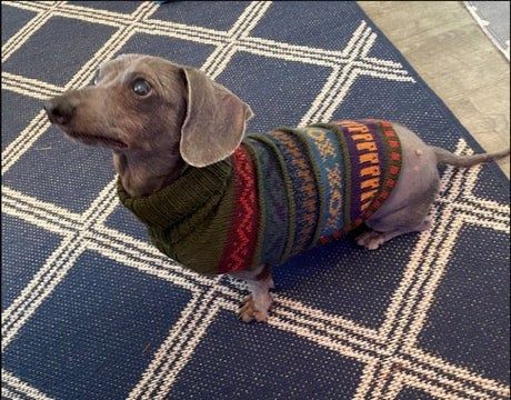 MILITARY Green NAZCA Alpaca sweater for dogs 2lbs - 40 lbs.