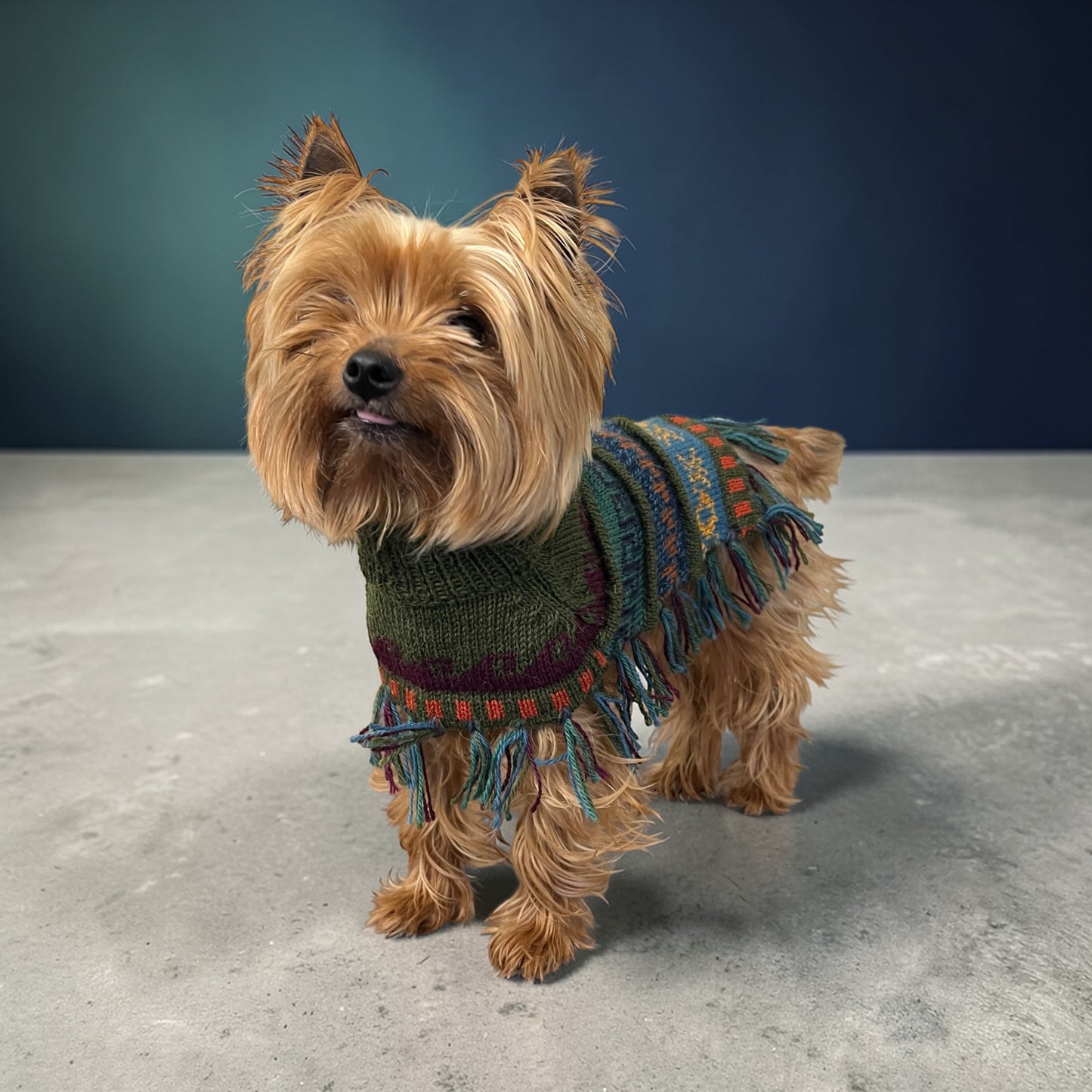 Military Green Alpaca Dog Poncho – Handmade in Peru (Sizes XX0–8)