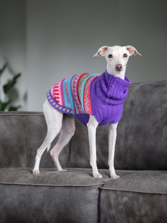 NAZCA Alpaca dog sweater, ROYAL PURPLE (Size XX0-8)