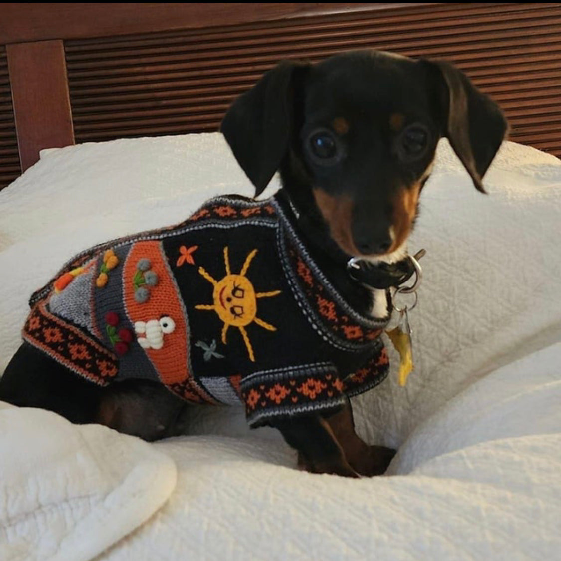 HARLEY COLOR Handmade Peruvian Dog Sweater All Sizes (X0-14)