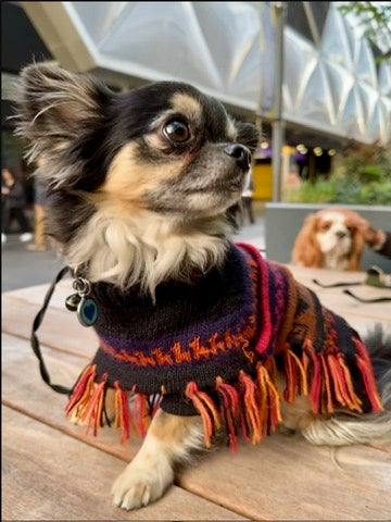 Luxury HARLEY Alpaca dog poncho (sizes X0-20)