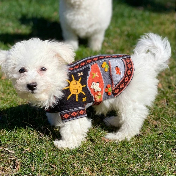 HARLEY COLOR Handmade Peruvian Dog Sweater All Sizes (X0-14)