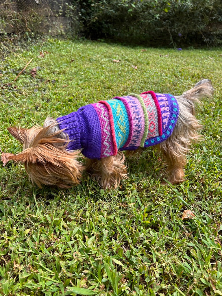 NAZCA Alpaca dog sweater, ROYAL PURPLE (Size XX0-8)