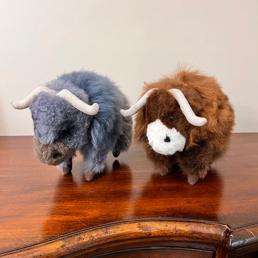 Large Buffalo