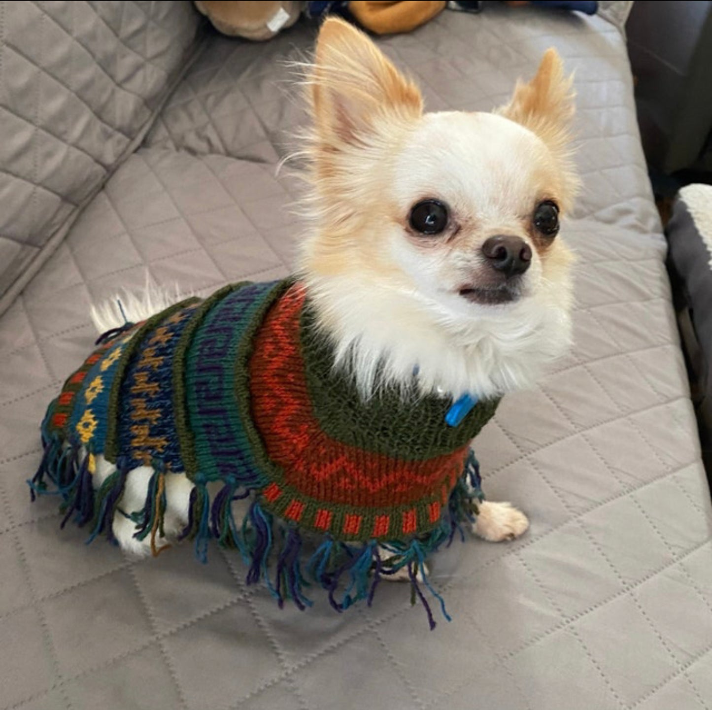 MILITARY GREEN Alpaca dog PONCHO