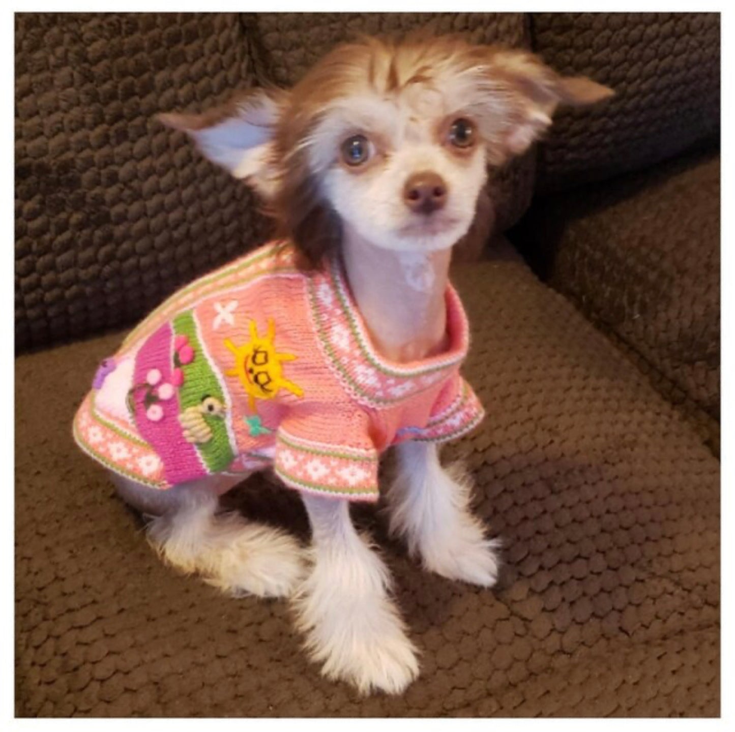 CORAL PINK zip up dog sweater (sizes X0-8)