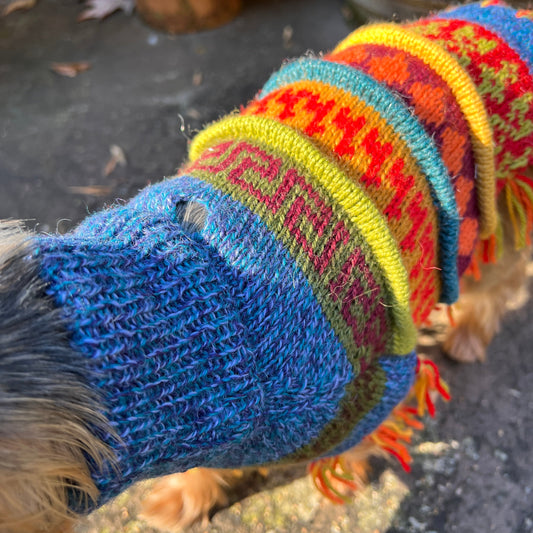 INCA RED Alpaca dog PONCHO