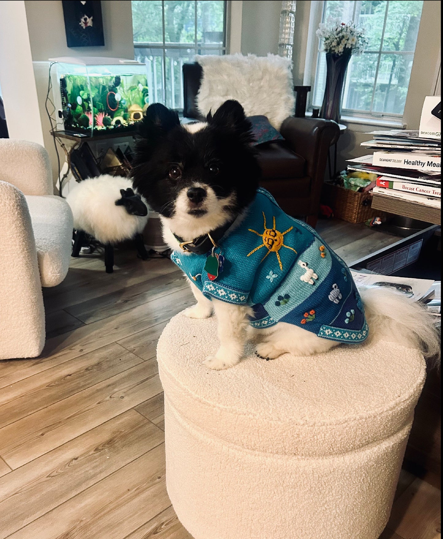 LIGHT BLUE zip up dog sweater. (sizes x0-8)