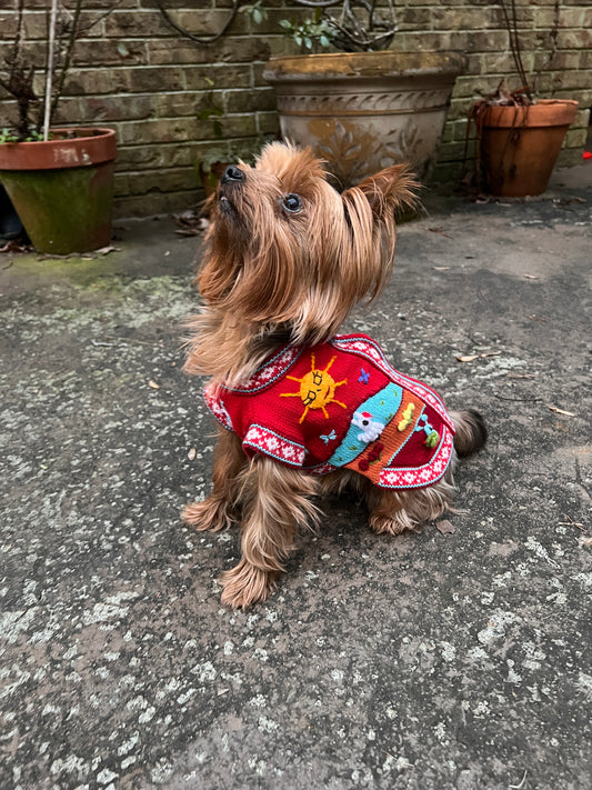 INCA RED zip up dog sweater. (sizes X0-8)