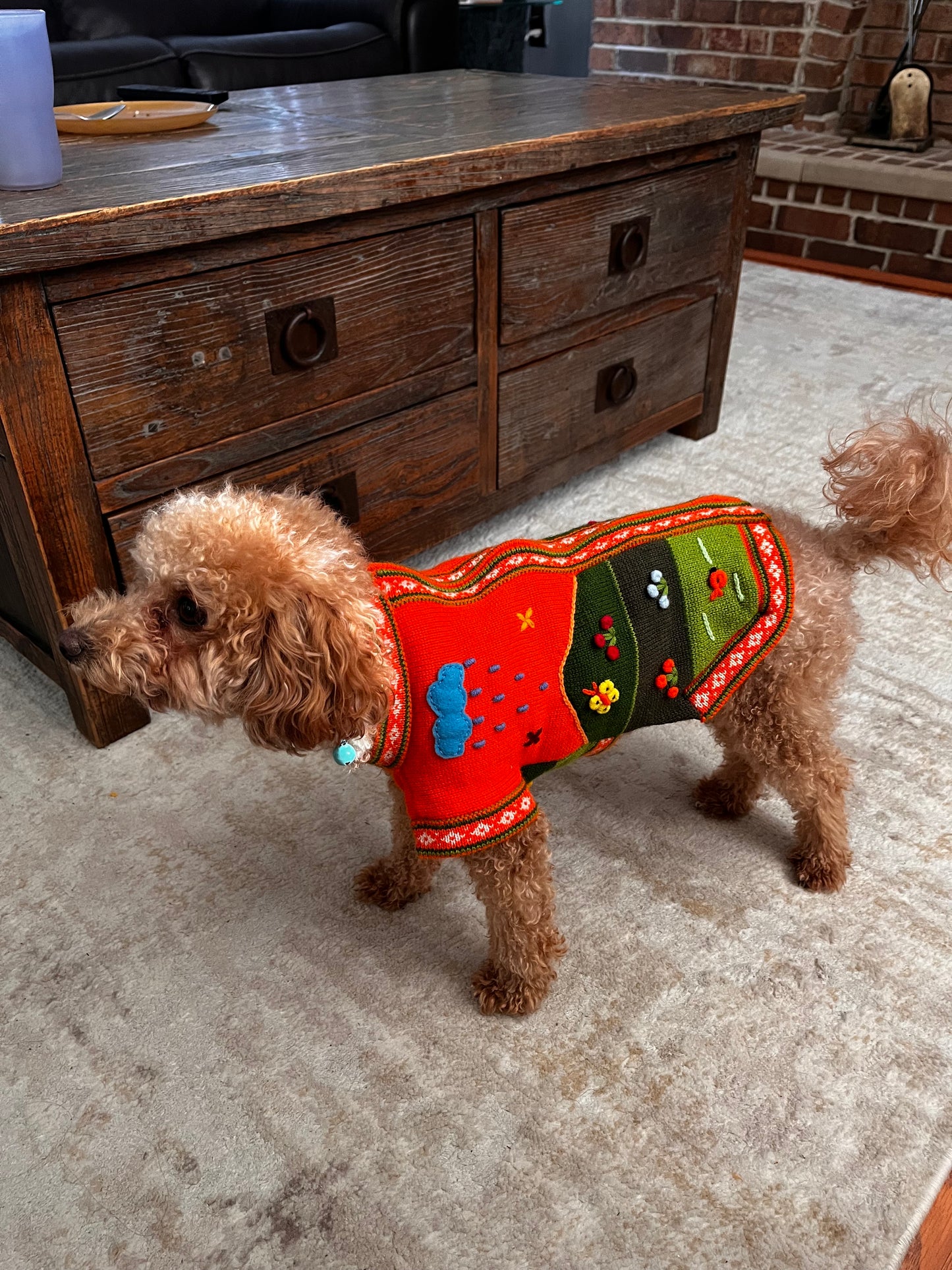PUMPKIN SPICE Doggie Sweater Handmade Zip Up The Back Design.