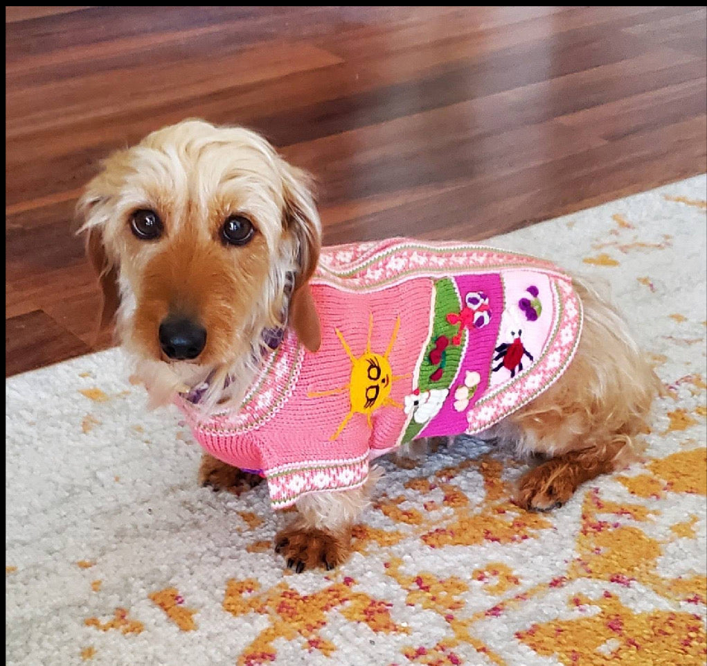 CORAL PINK zip up dog sweater (sizes X0-8)