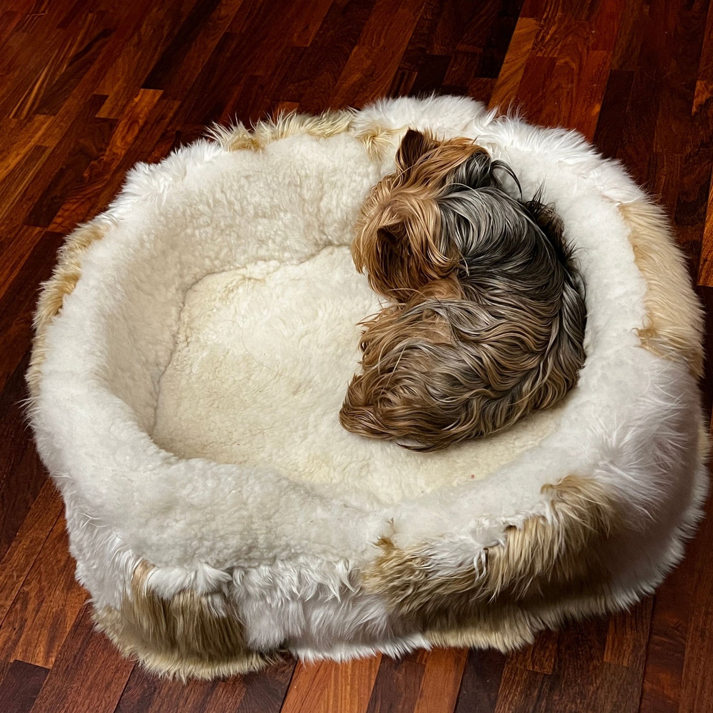 Luxury Dog Bed (Black and Beige)