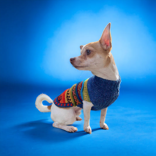 NAZCA Alpaca dog sweater BLUE PURPLE TWEED (Size XX0-8)