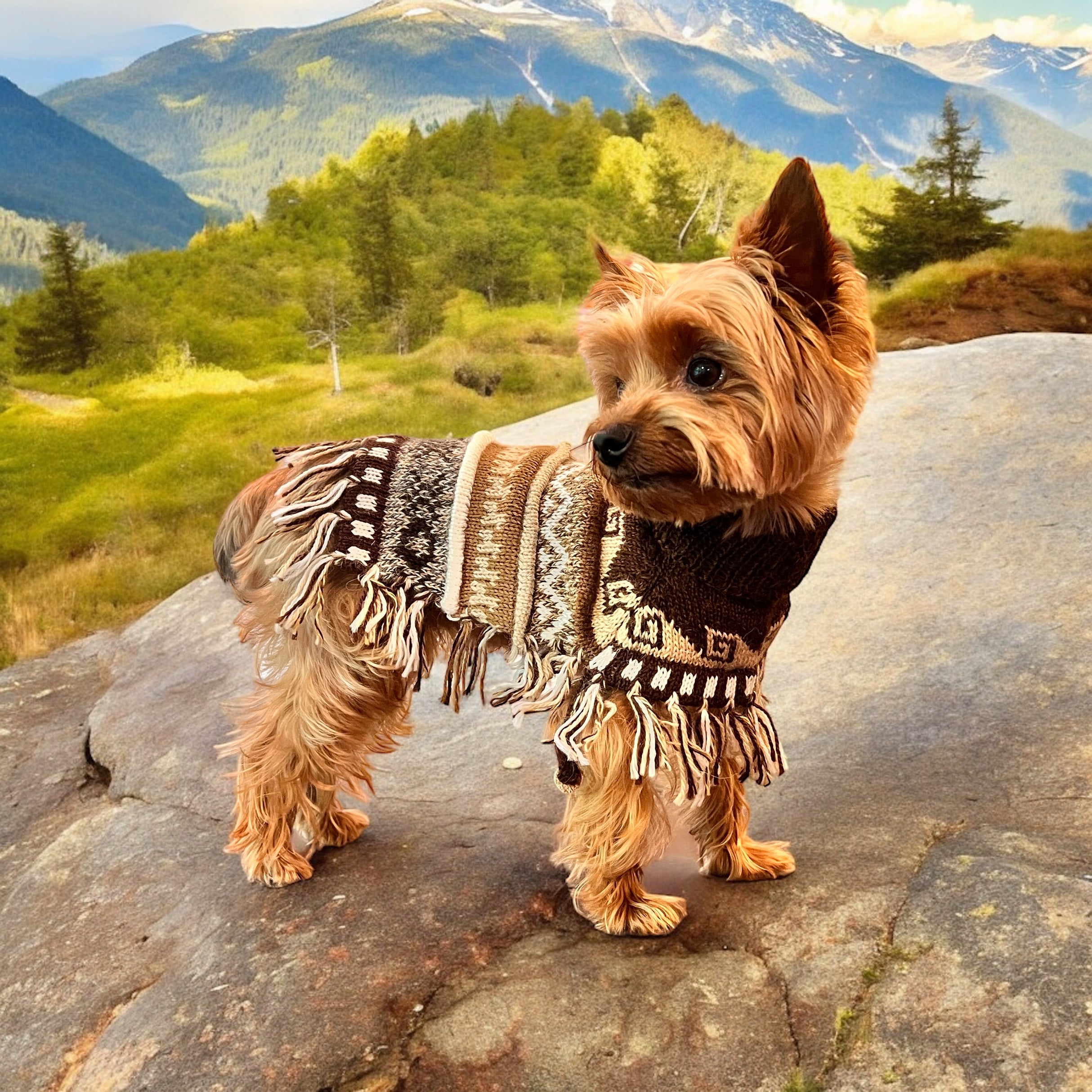 Peruvian Handmade CAFE BROWN Alpaca dog PONCHO – Peruvian Accent