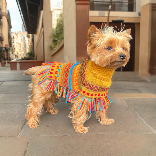 INCA GOLD Alpaca dog poncho (sizes X0-8)