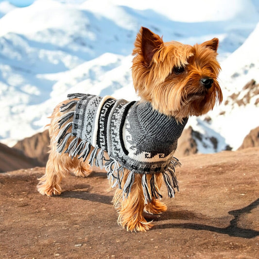 MACHU MIST (Charcoal) Alpaca dog poncho (sizes X0-8)
