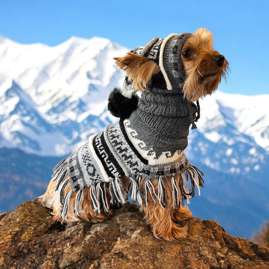 MACHU MIST Dog Chullo Beanie