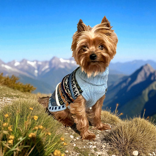 Coastal SKY BLUE Nazca Alpaca dog sweater (Size XX0-8)