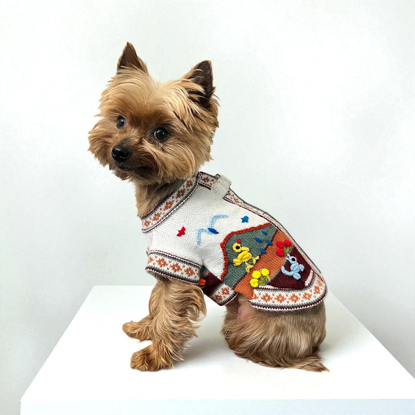 Royal BONE color Zip UP  Dog Sweater All Sizes (XX0-14)