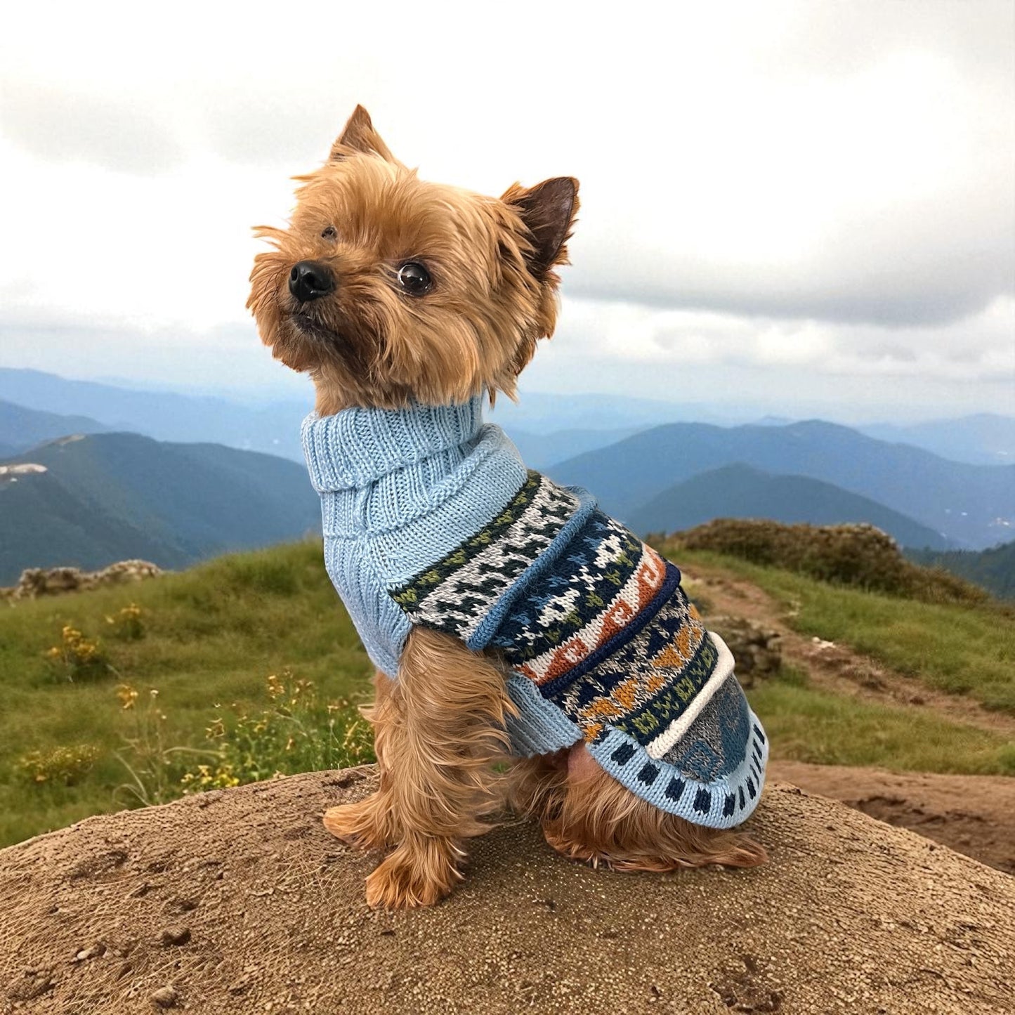 Coastal SKY BLUE Nazca Alpaca dog sweater (Size XX0-8)