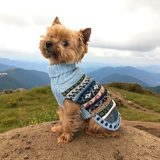 Coastal SKY BLUE Nazca Alpaca dog sweater (Size XX0-8)