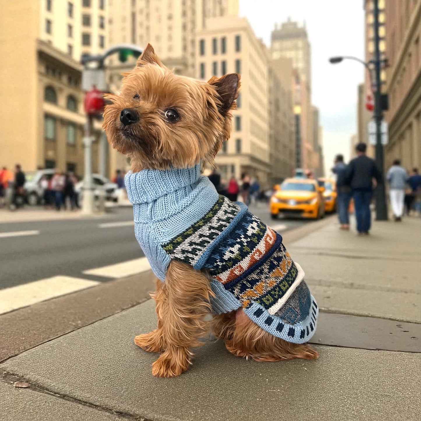 Coastal SKY BLUE Nazca Alpaca dog sweater (Size XX0-8)