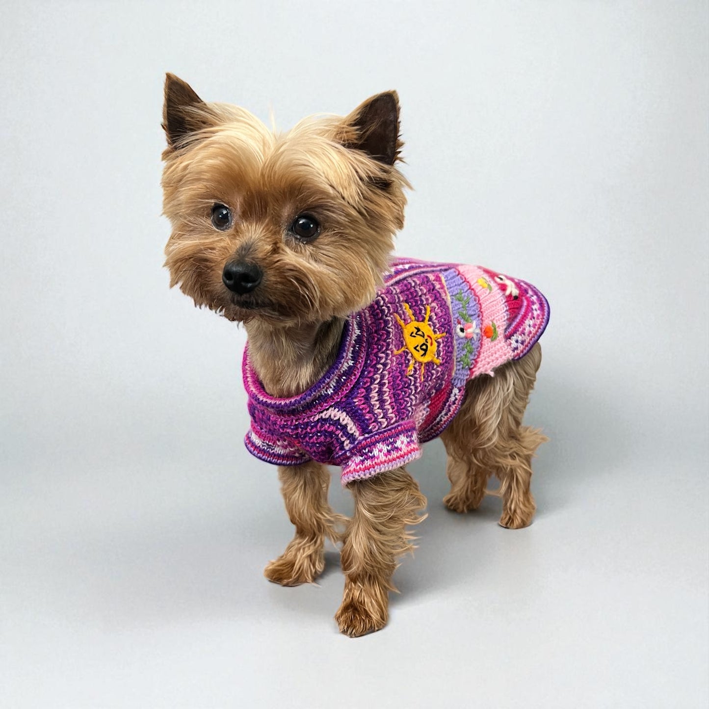 PINK FIESTA Zip Up Dog Sweater (SIZES XX0-14)