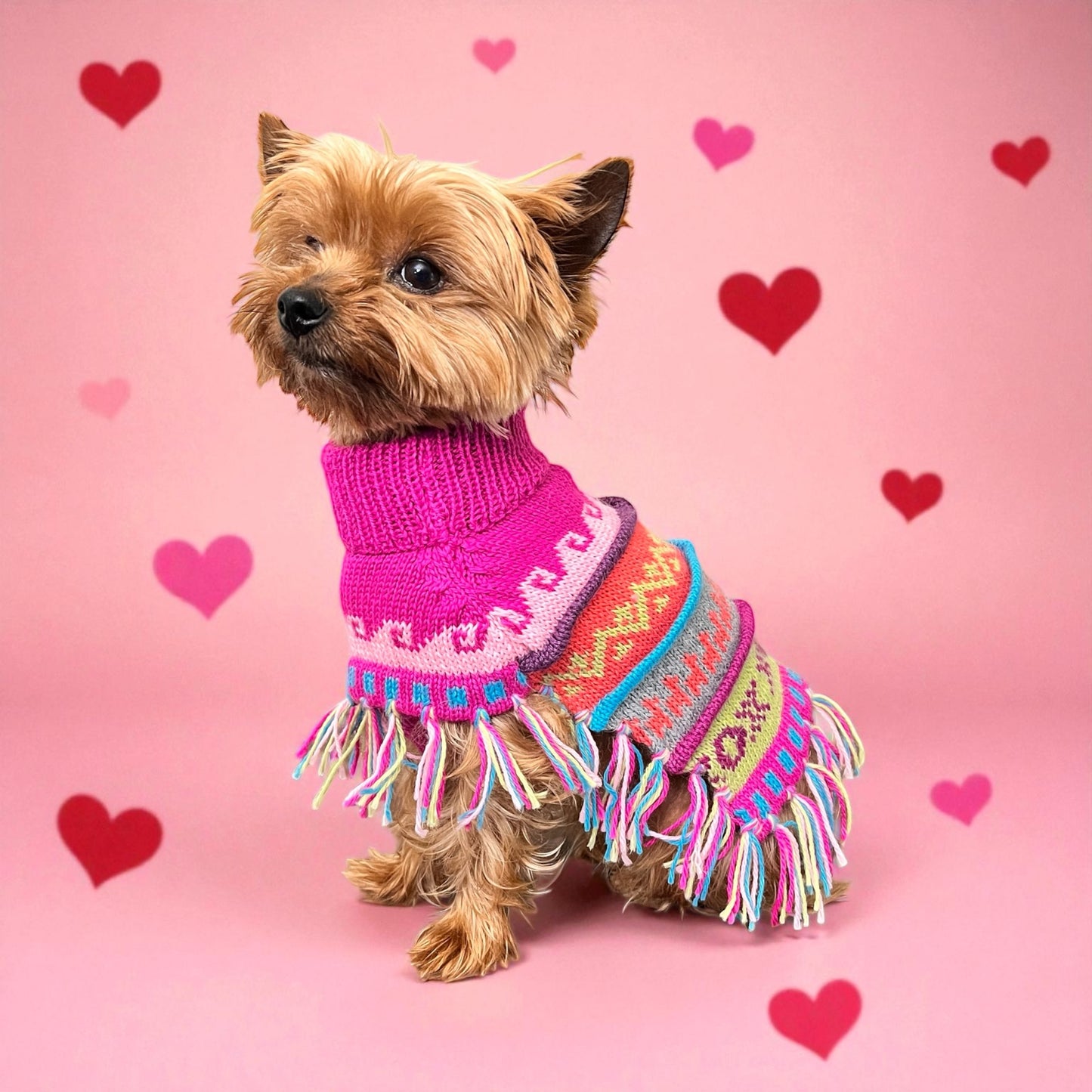 Pink Fiesta Alpaca Dog Poncho