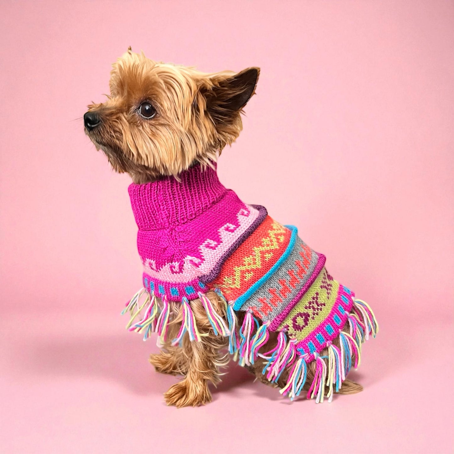 Pink Fiesta Alpaca Dog Poncho