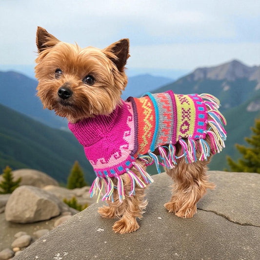 Pink Fiesta Alpaca Dog Poncho – Baby Alpaca Dog Coat XX0–20