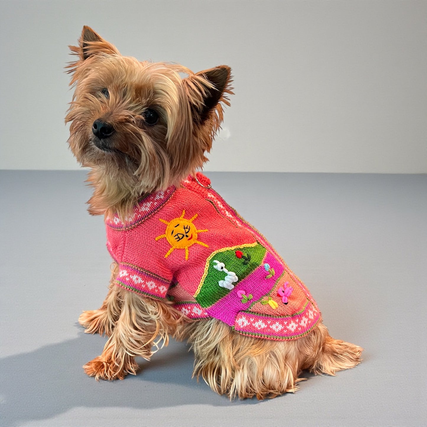 Luxury Coral Pink Handmade Dog Sweater | Artisan Peruvian Dog Clothes for Yorkies, Small & Medium Dogs (sizes XX0-14)