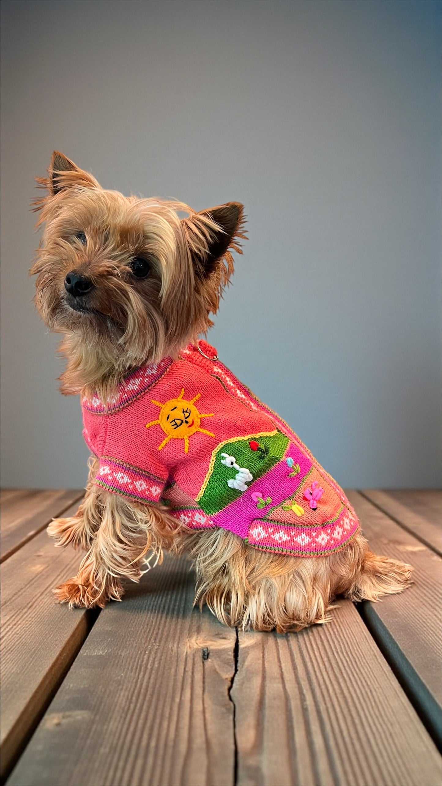 Luxury Coral Pink Handmade Dog Sweater | Artisan Peruvian Dog Clothes for Yorkies, Small & Medium Dogs (sizes XX0-14)