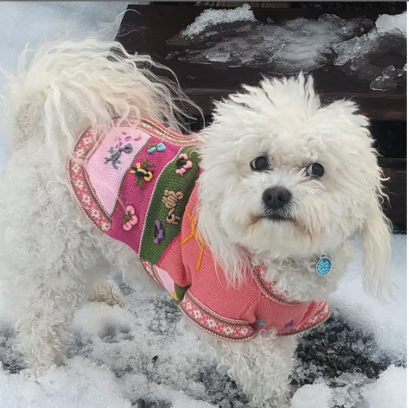 CORAL PINK zip up dog sweater (sizes X0-8)