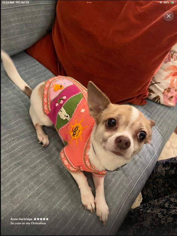 CORAL PINK zip up dog sweater (sizes X0-8)