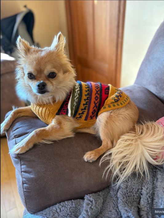 NAZCA Alpaca dog sweater, INCA GOLD (Size XX0-8)