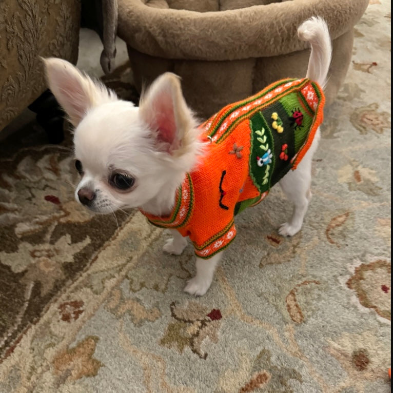 PUMPKIN SPICE Doggie Sweater Handmade Zip Up The Back Design.