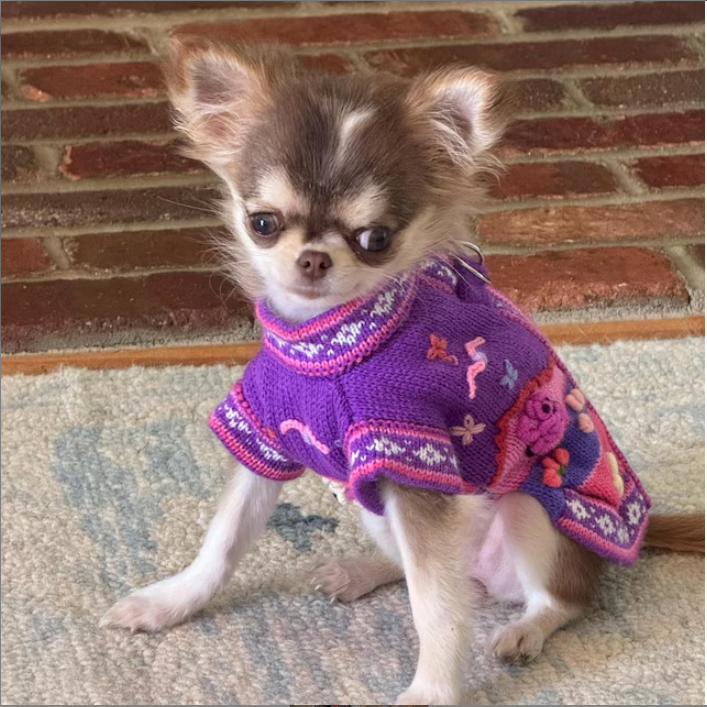 LAVENDER Handmade Peruvian Dog Sweater All Sizes (X0-14)