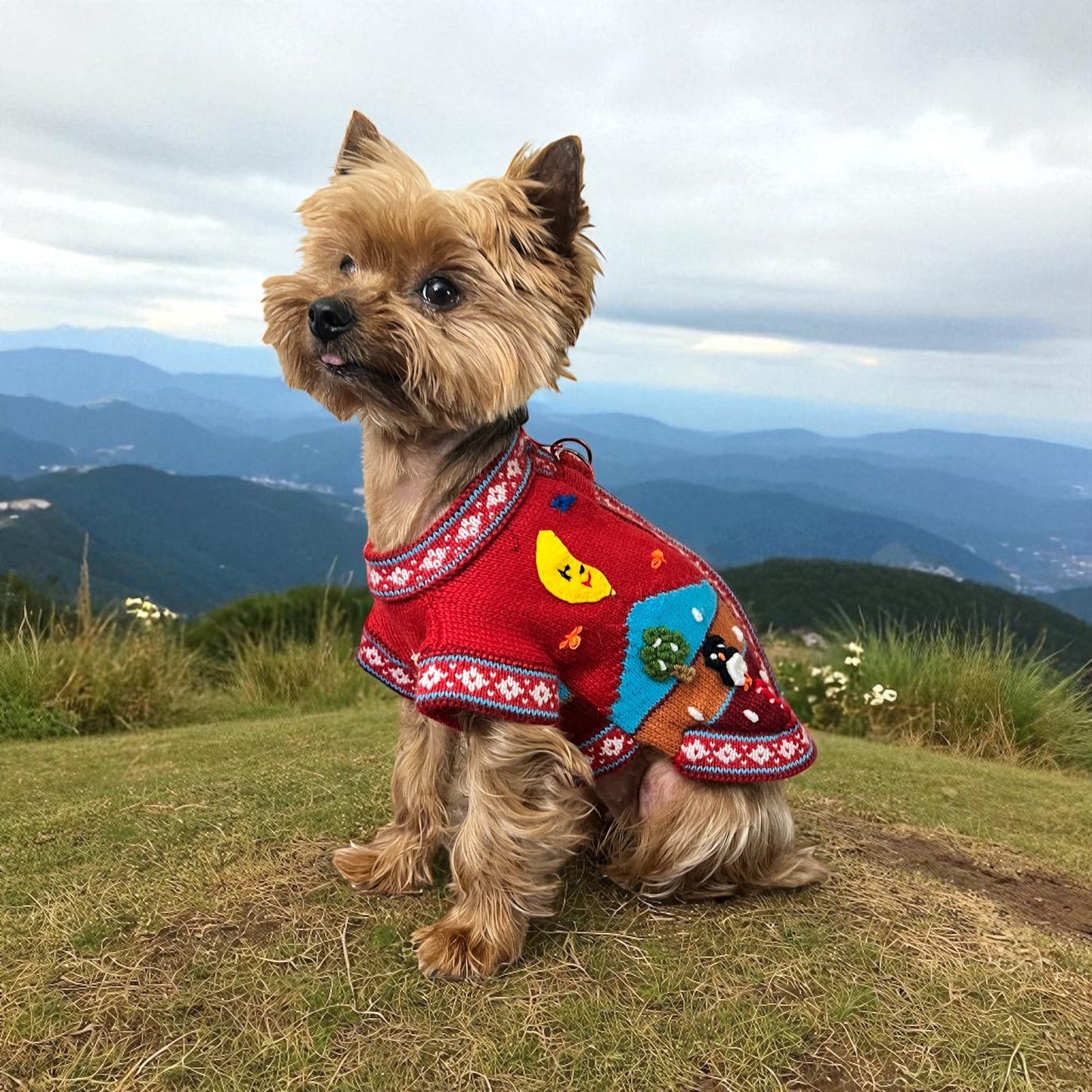 Peruvian Accent red alpaca dog sweater with Nazca-inspired holiday designs including a snowman, moon, and reindeer. A Yorkshire Terrier wears the sweater outdoors.