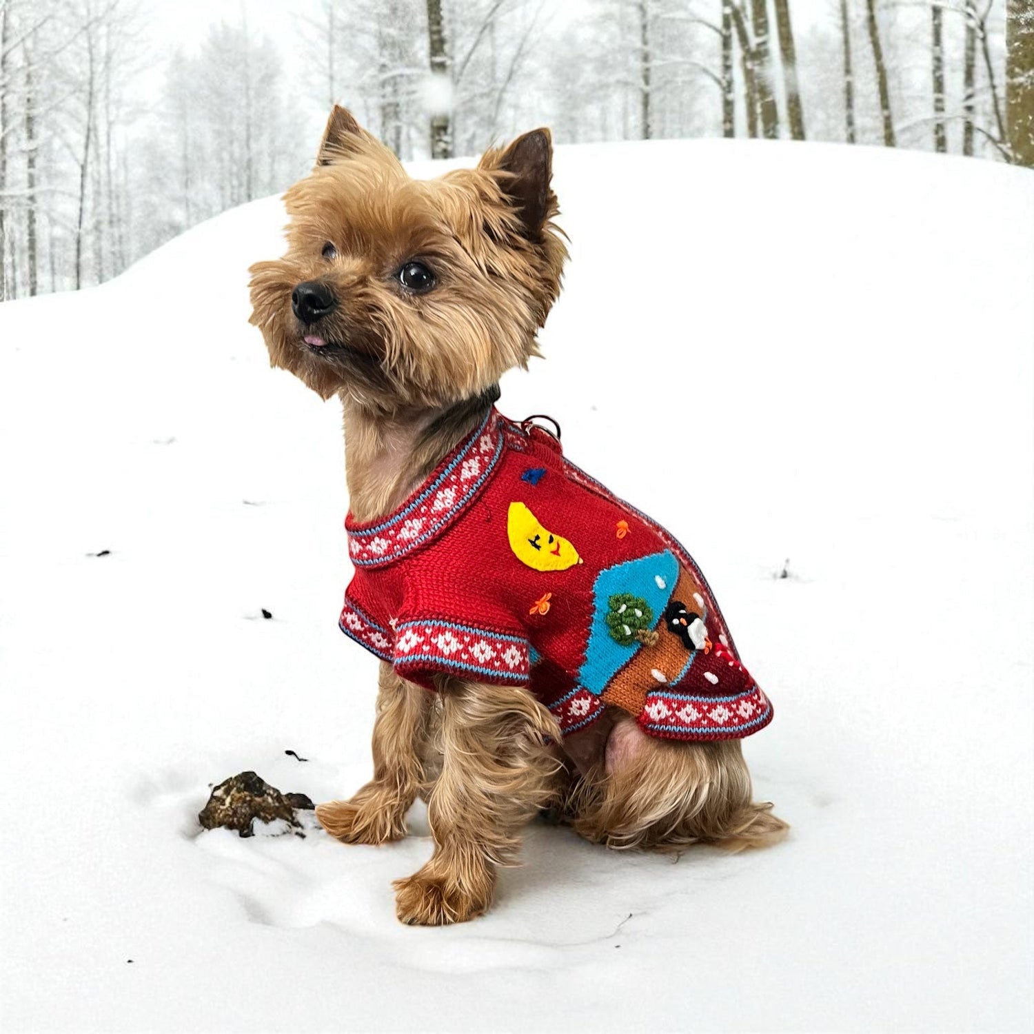 Peruvian Accent red alpaca dog sweater with Nazca-inspired winter scene, moon, and snowman motifs.