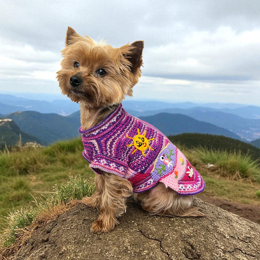 Pink Fiesta alpaca dog zip-up sweater handmade in Peru on small Yorkie, colorful luxury alpaca dog sweater for small dogs, warm hypoallergenic pet clothing